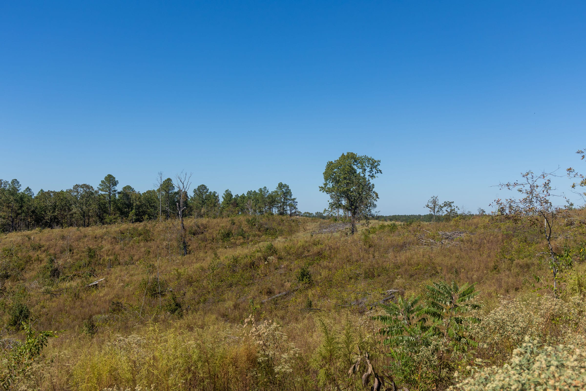Meyer’s Ridge Tract 44 photo 11