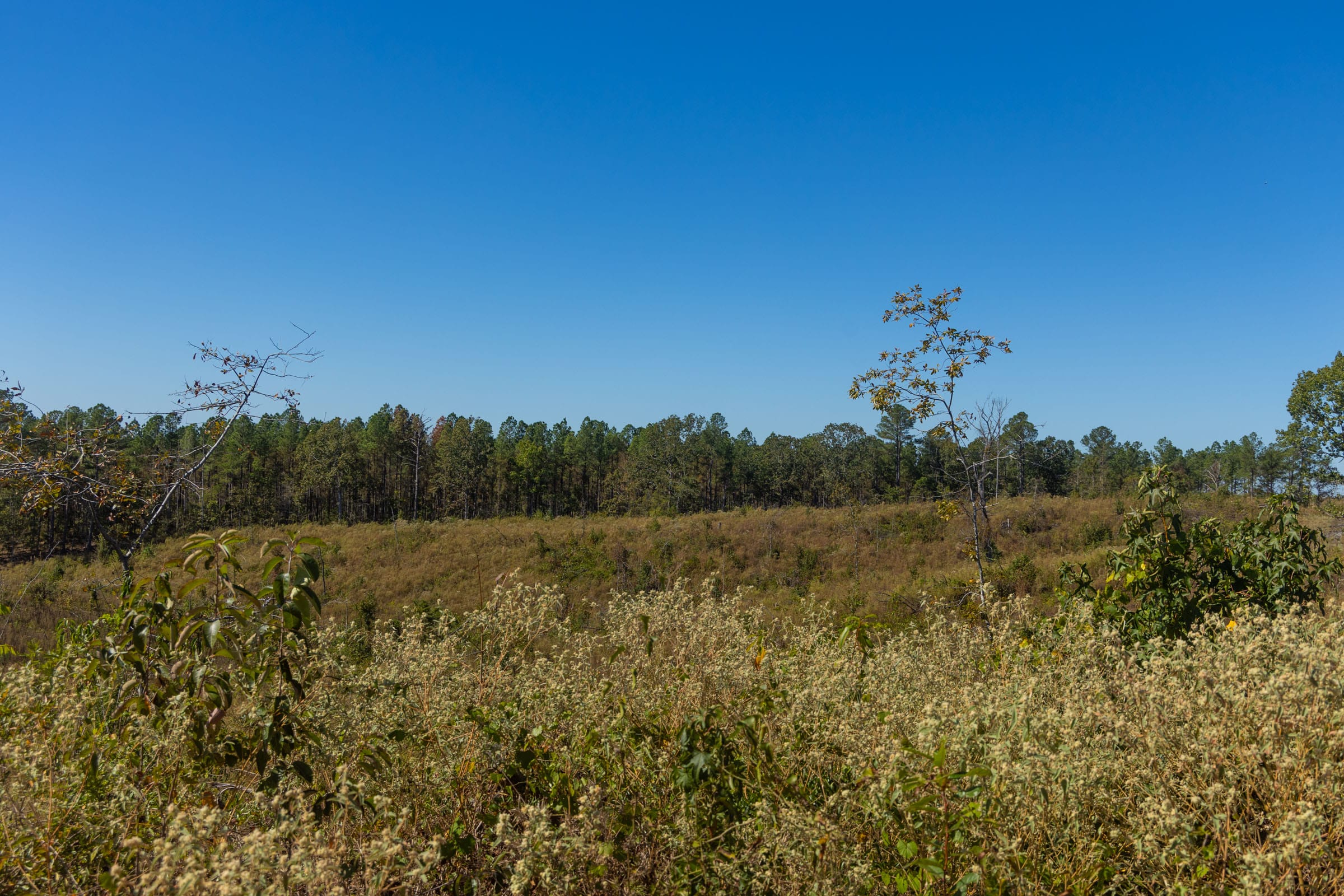 Meyer’s Ridge Tract 44 photo 7