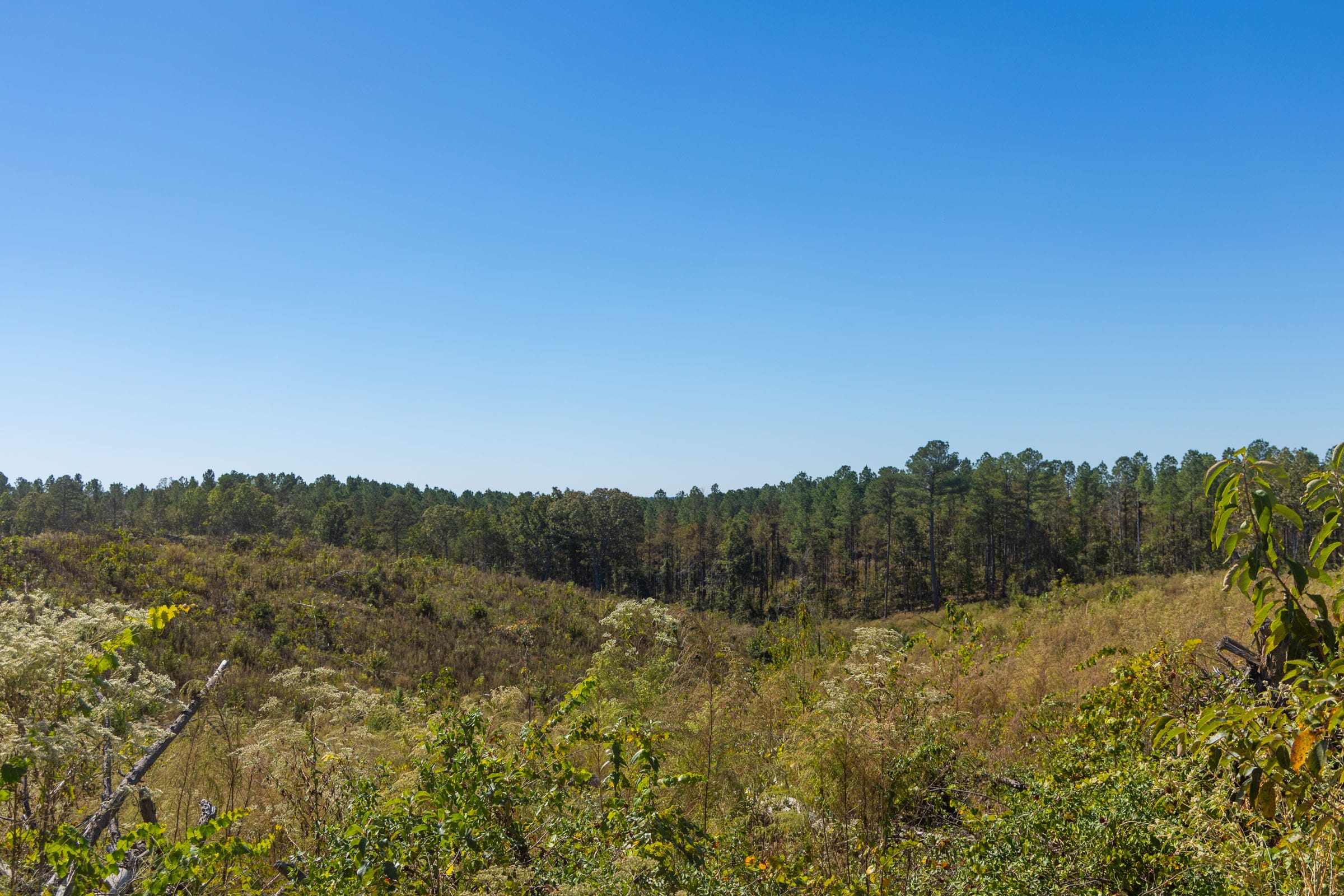 Meyer’s Ridge Tract 44 photo 5