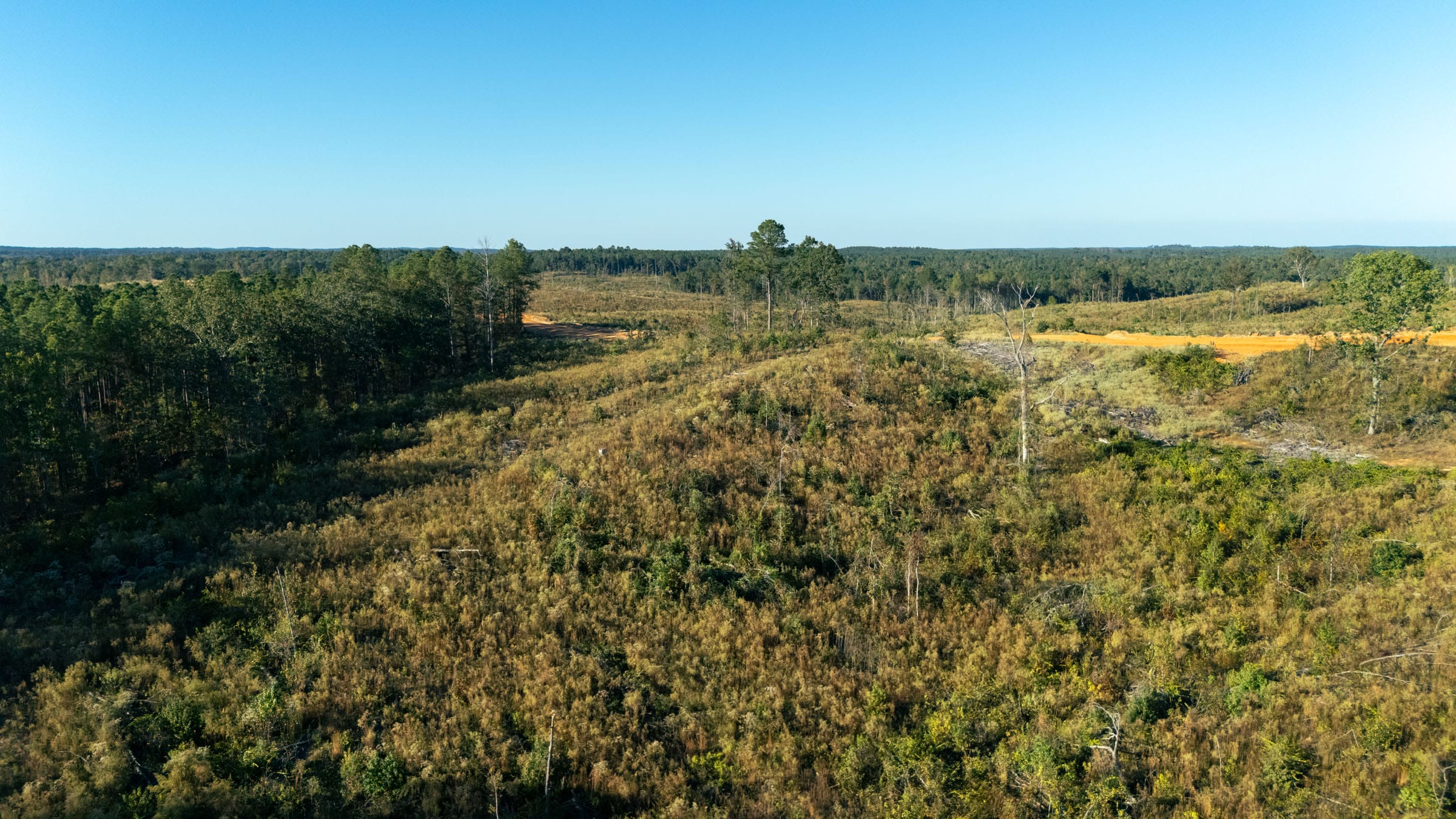 Meyer’s Ridge Tract 44 photo 2