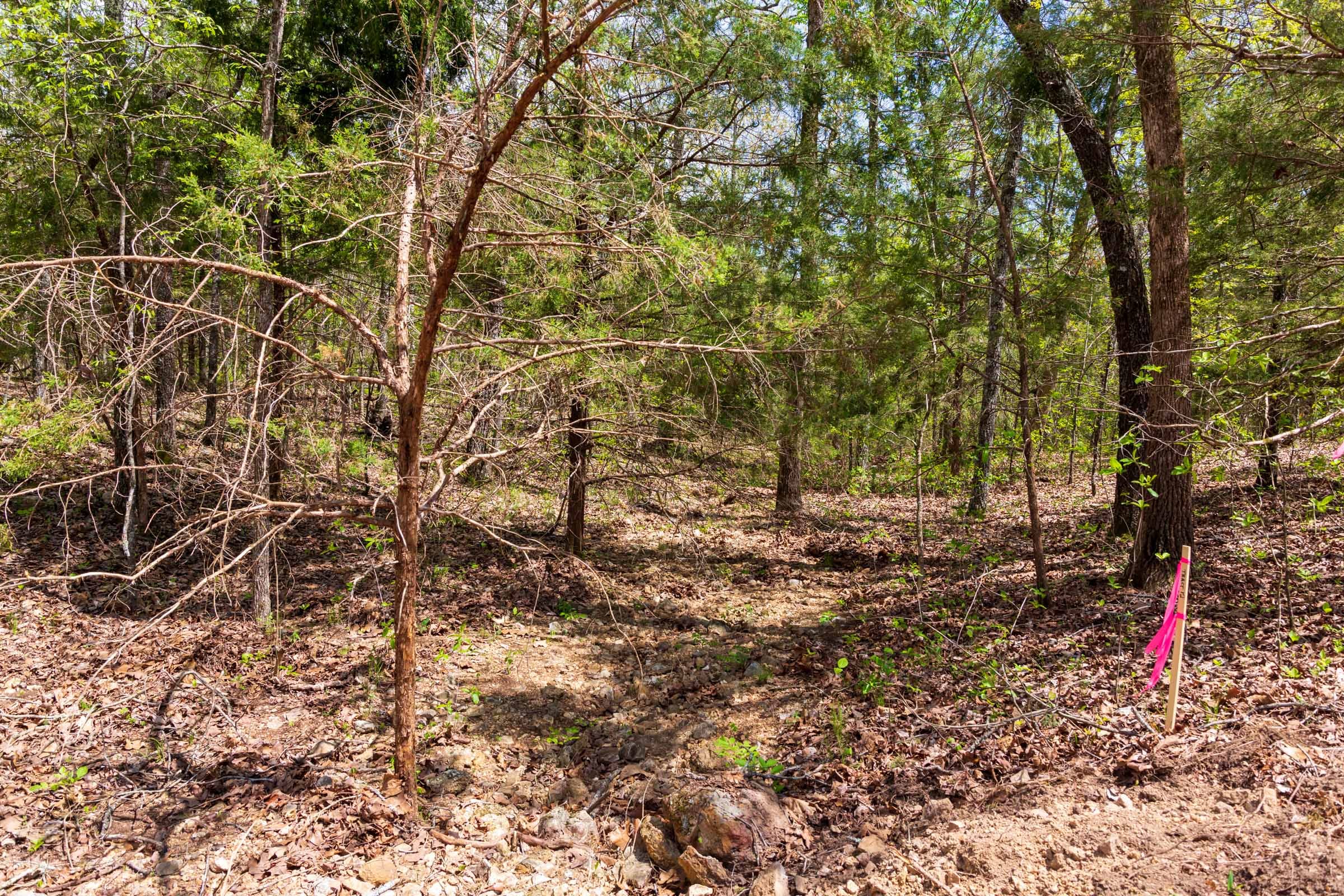 Autumnwood Tract 12 photo 3