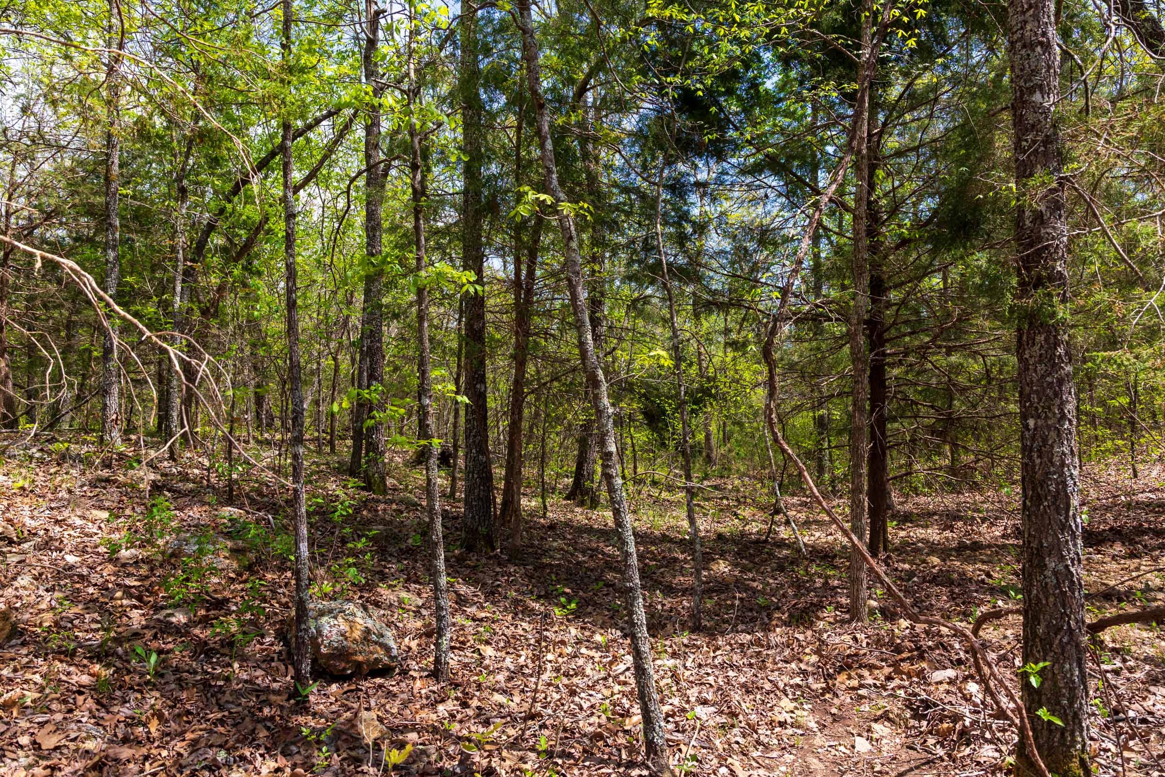 Autumnwood Tract 12 photo 1