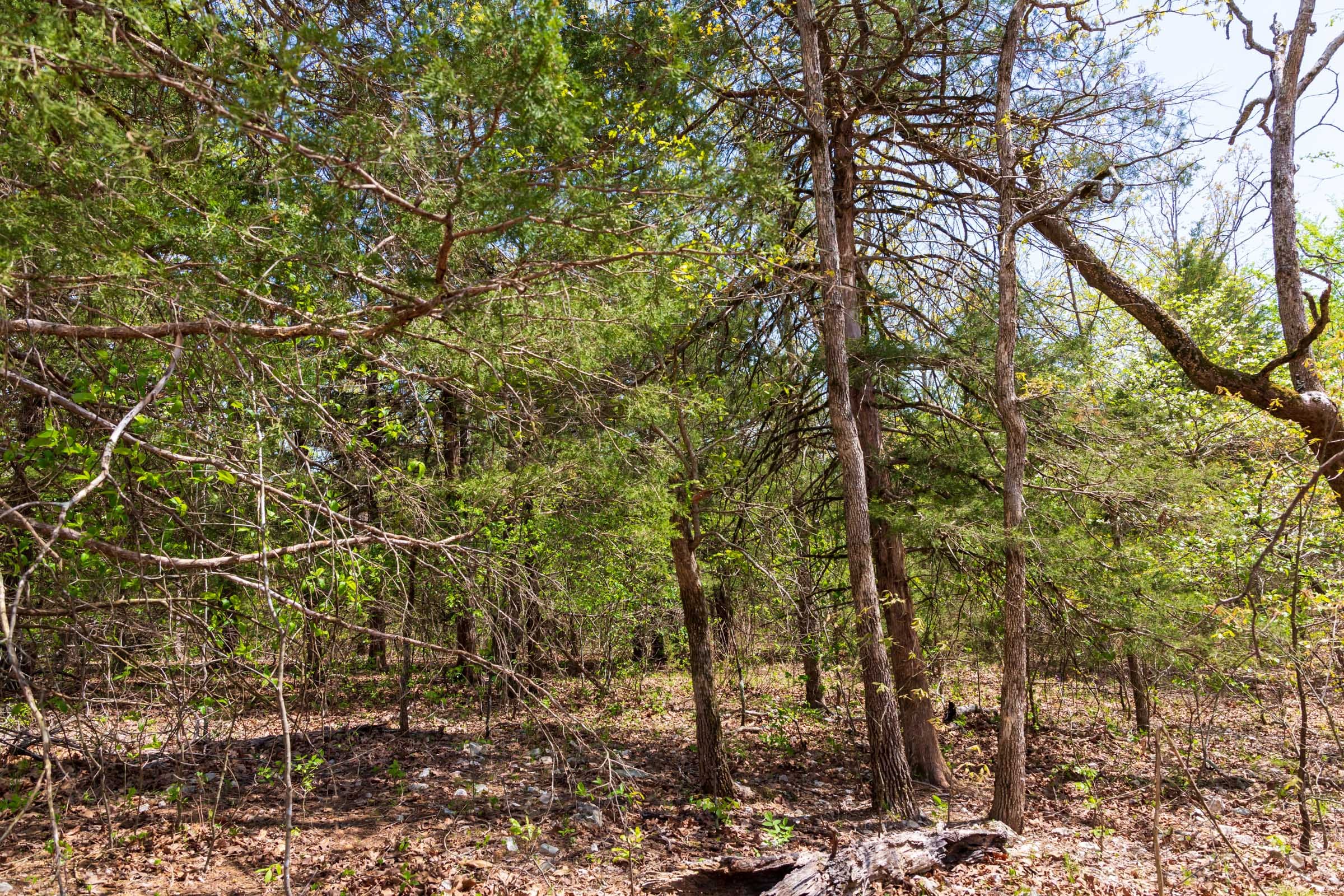 Autumnwood Tract 12 photo 12