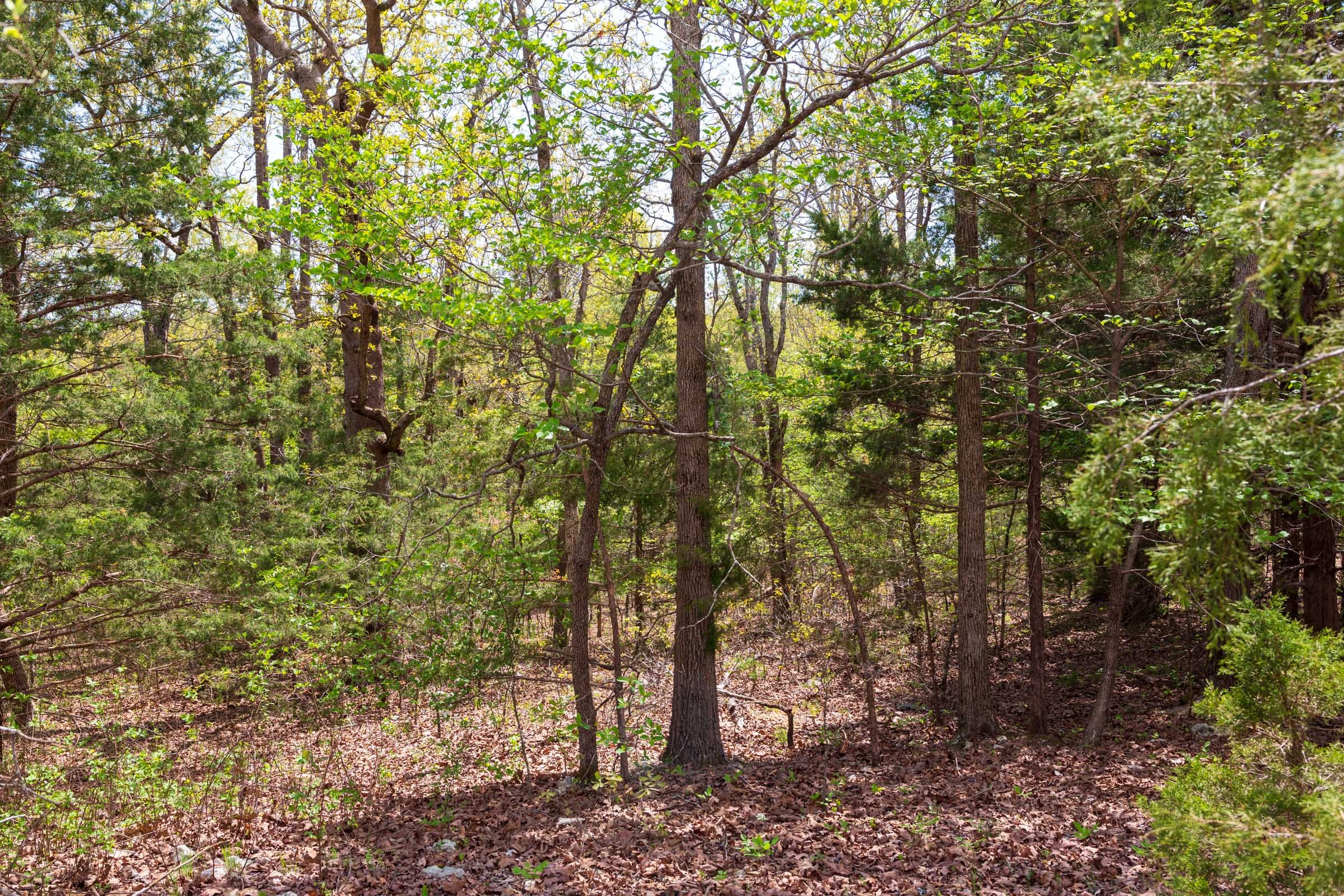 Autumnwood Tract 12 photo 16