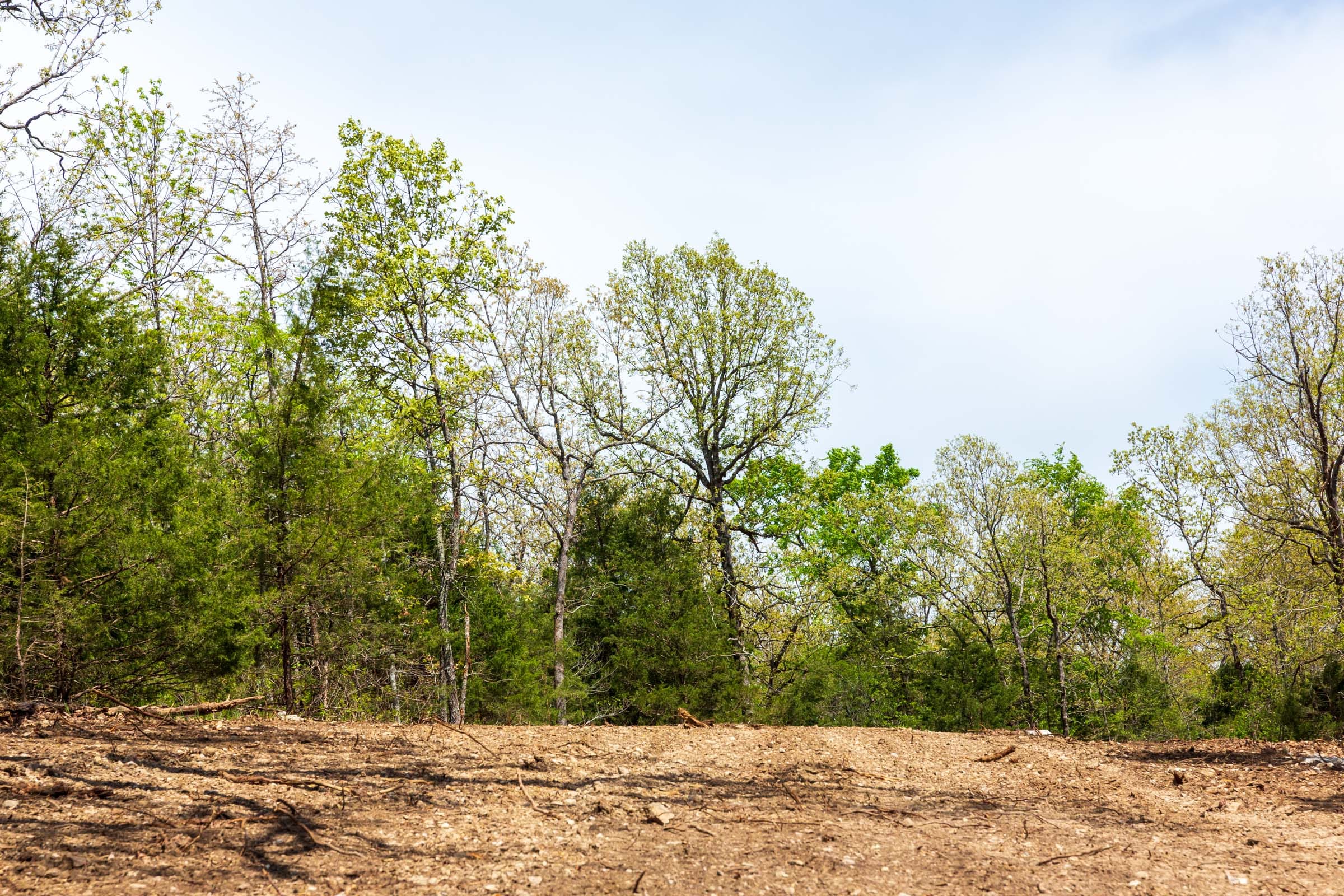 Autumnwood Tract 12 photo 2