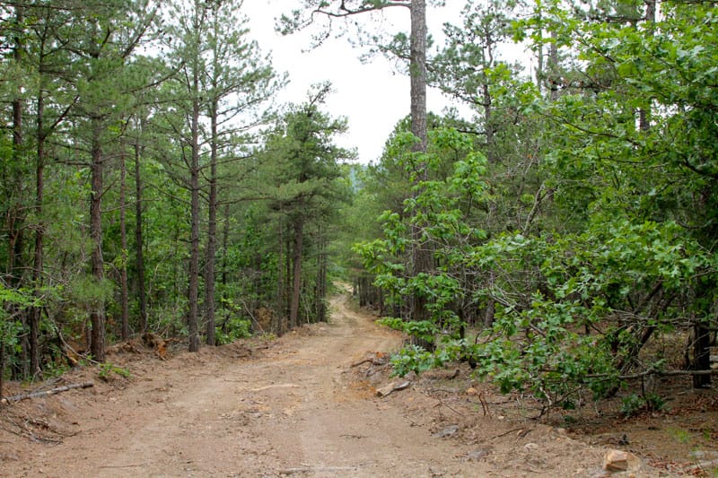 Trophy Ridge Phase II Tract 100 photo 1