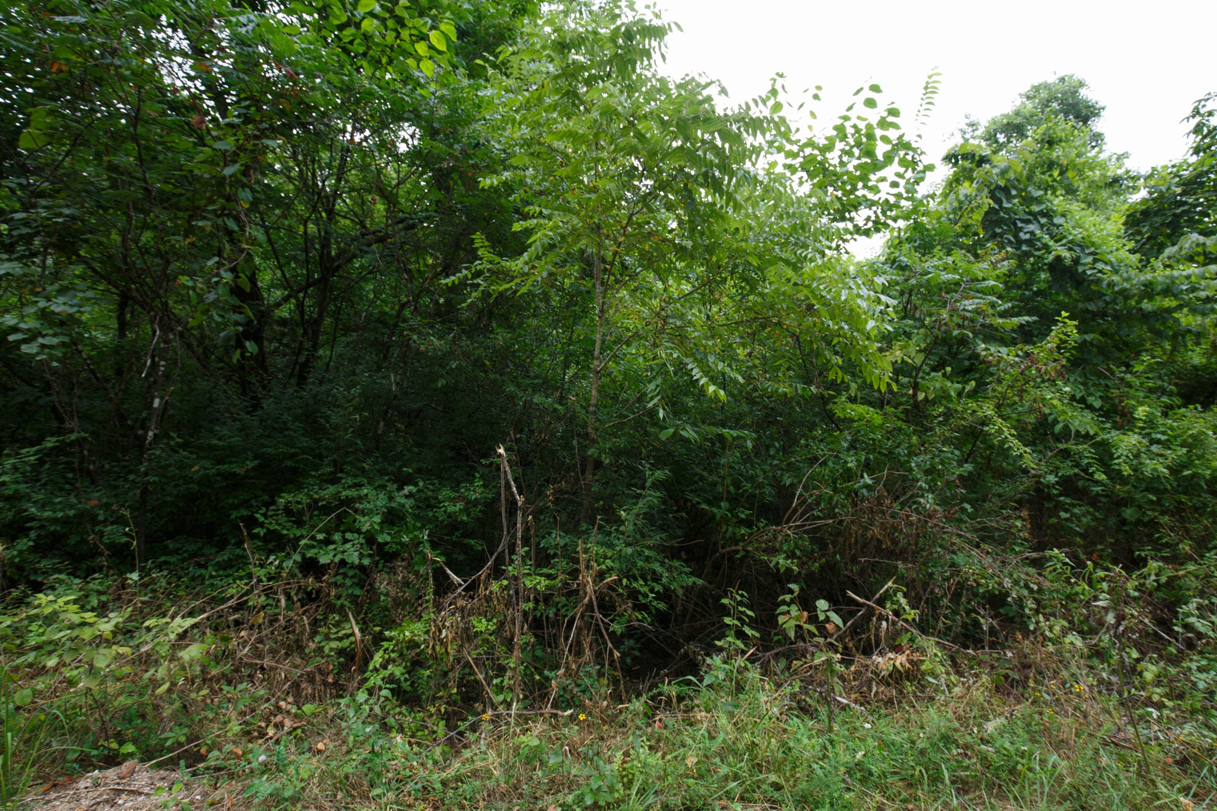 Spring Lake Plat 4 Tract 117 photo 4