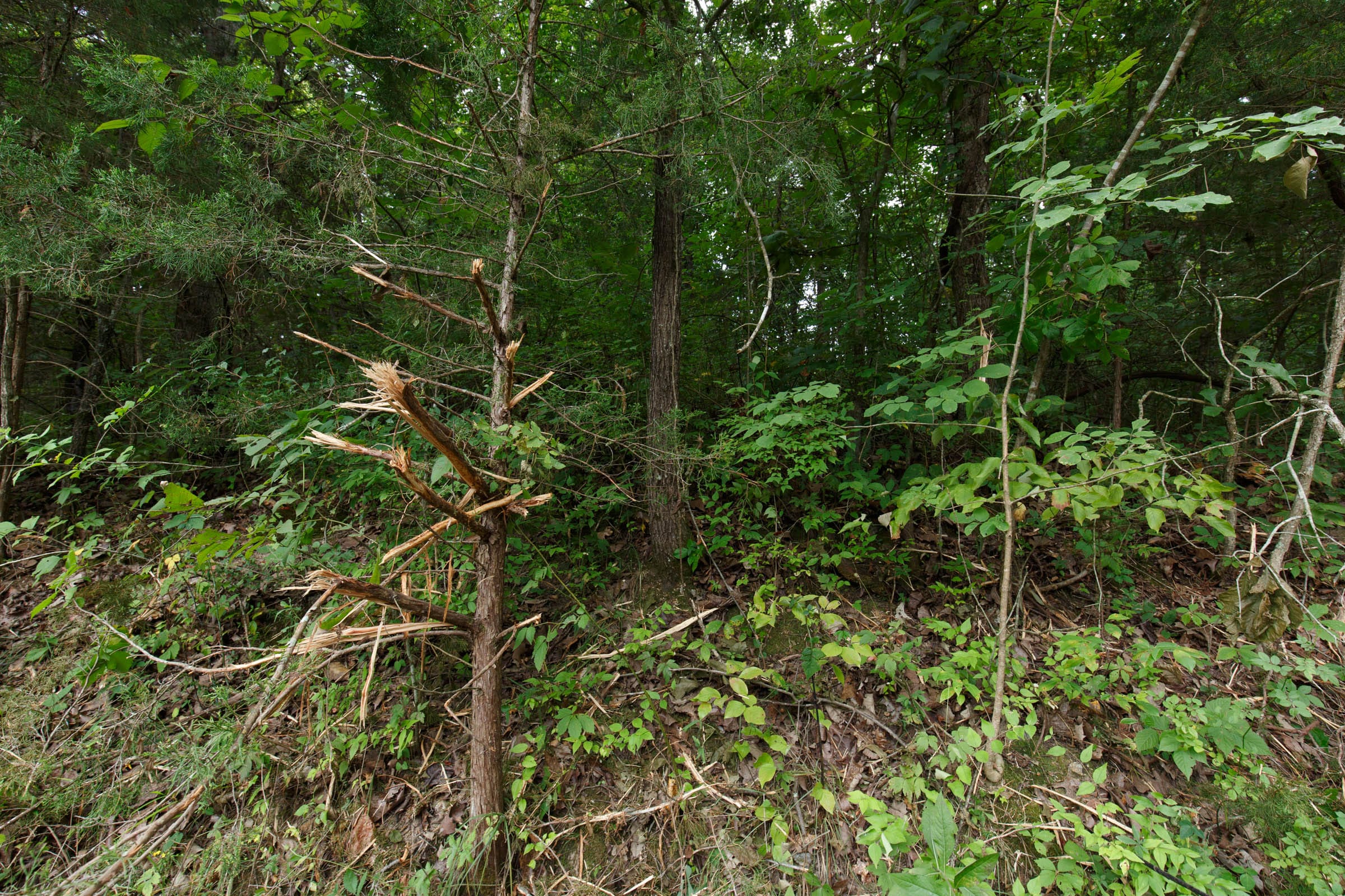 Spring Lake Plat 4 Tract 117 photo 2