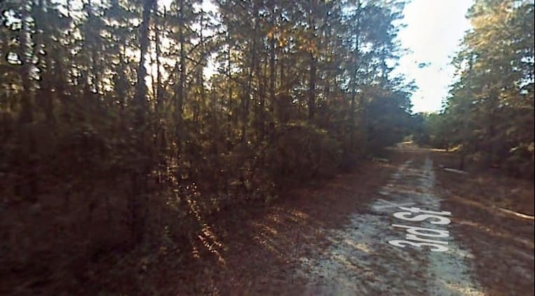 Bay County Tract 2 photo 5
