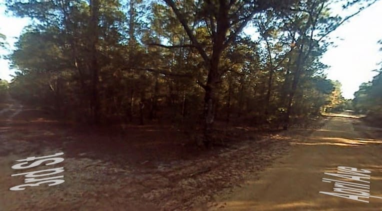 Bay County Tract 2 photo 4