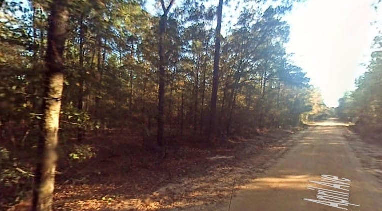 Bay County Tract 2 photo 3