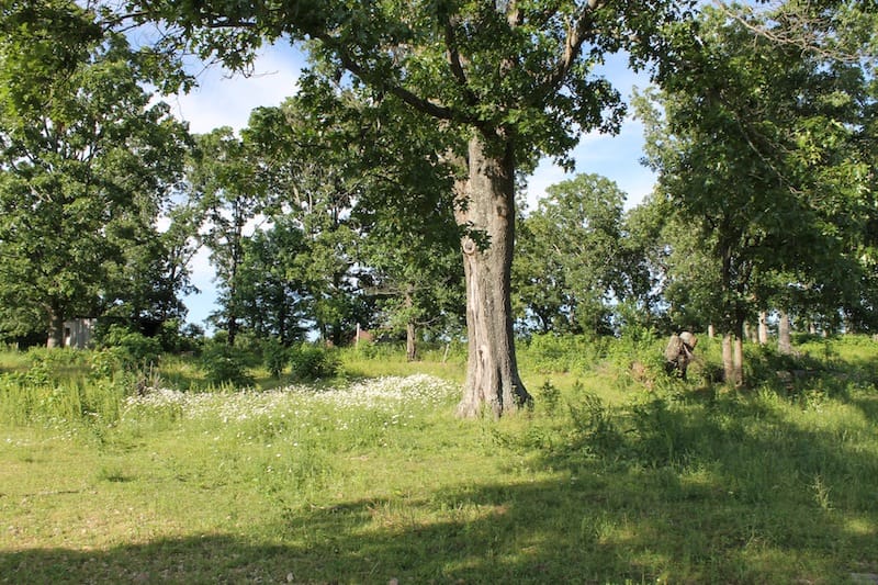 Valley View Ranch Tract 2 photo 3