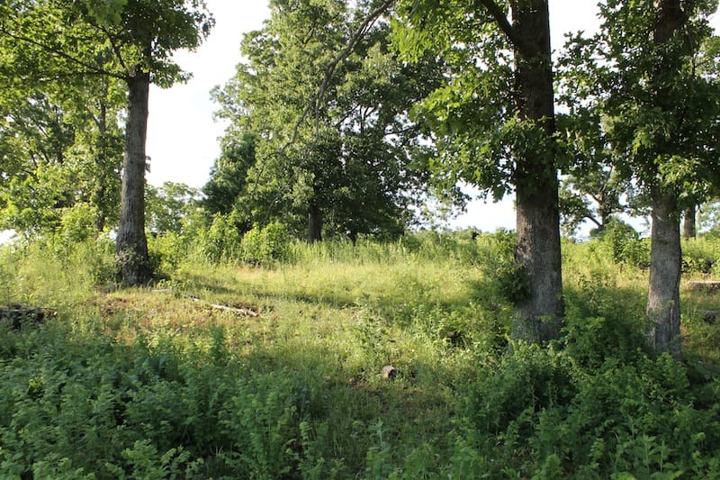 Valley View Ranch Tract 2 photo 1
