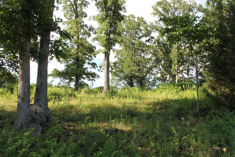 Valley View Ranch Tract 2 photo 5