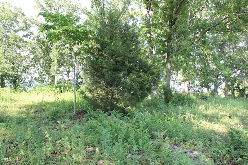 Valley View Ranch Tract 2 photo 6