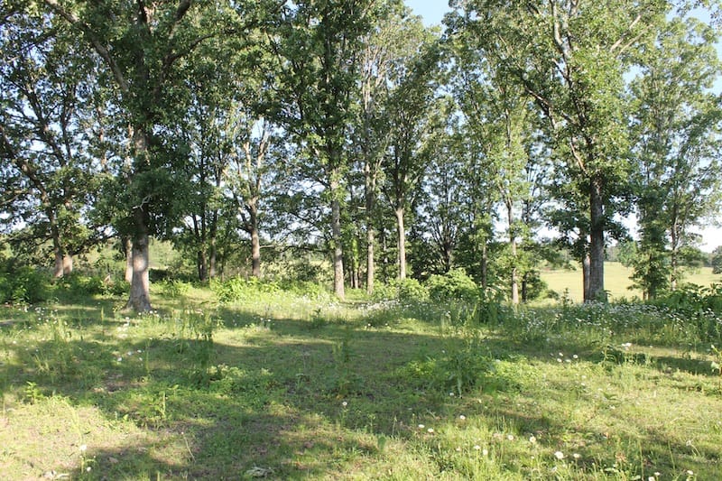 Valley View Ranch Tract 2 photo 10