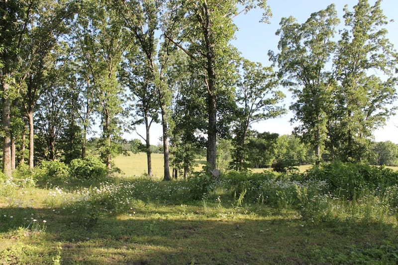 Valley View Ranch Tract 2 photo 11