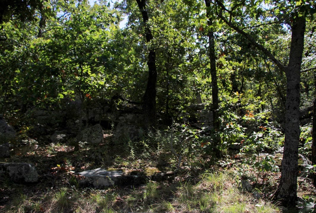 Lakeview Private Reserve Tract 15 photo 3