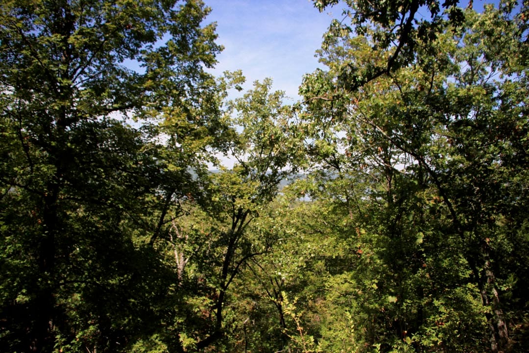 Lakeview Private Reserve Tract 15 photo 4