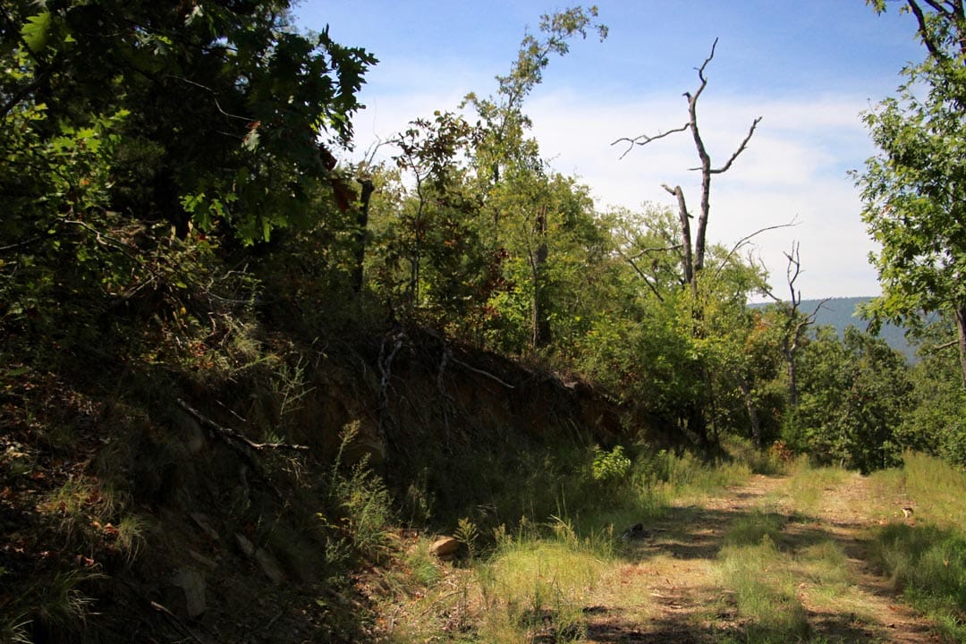 Lakeview Private Reserve Tract 15 photo 5