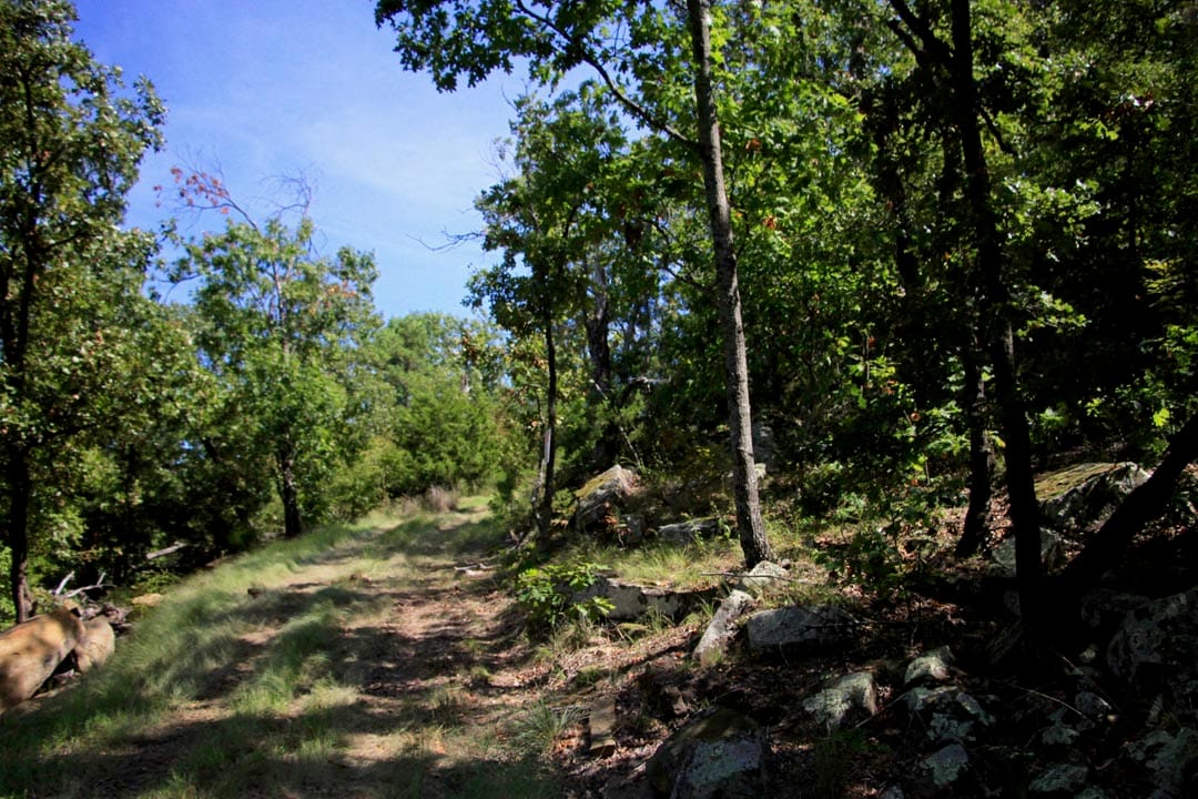 Lakeview Private Reserve Tract 15 photo 6