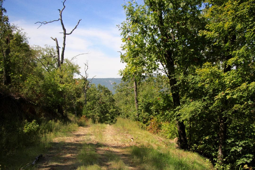 Lakeview Private Reserve Tract 15 photo 7