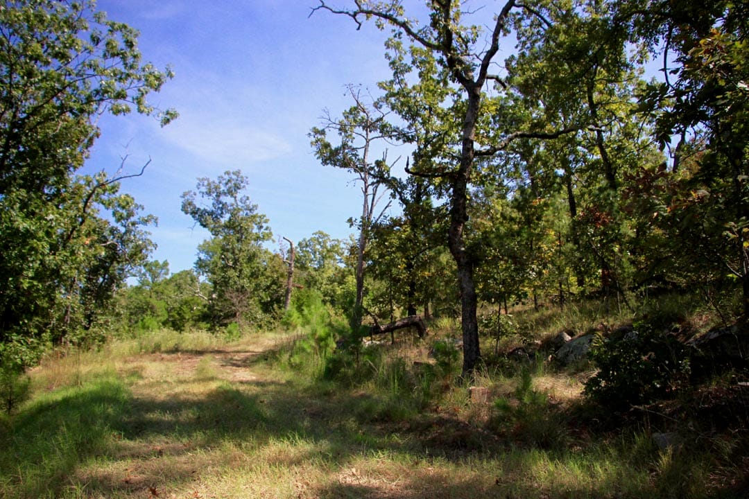 Lakeview Private Reserve Tract 15 photo 9