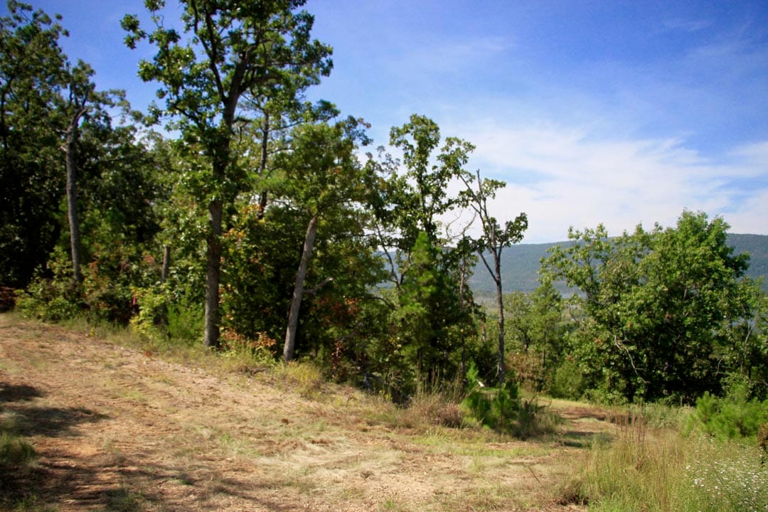 Lakeview Private Reserve Tract 15 photo 10
