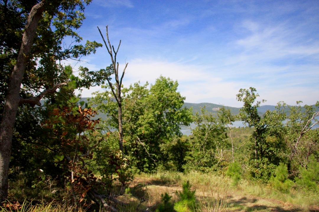 Lakeview Private Reserve Tract 15 photo 12