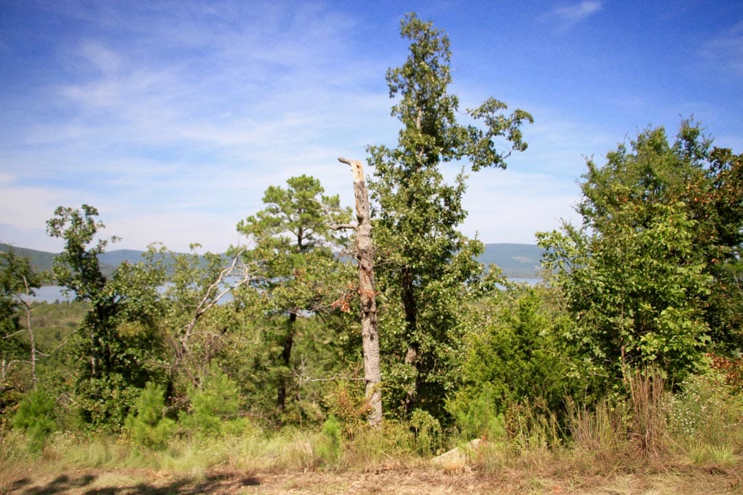 Lakeview Private Reserve Tract 15 photo 13