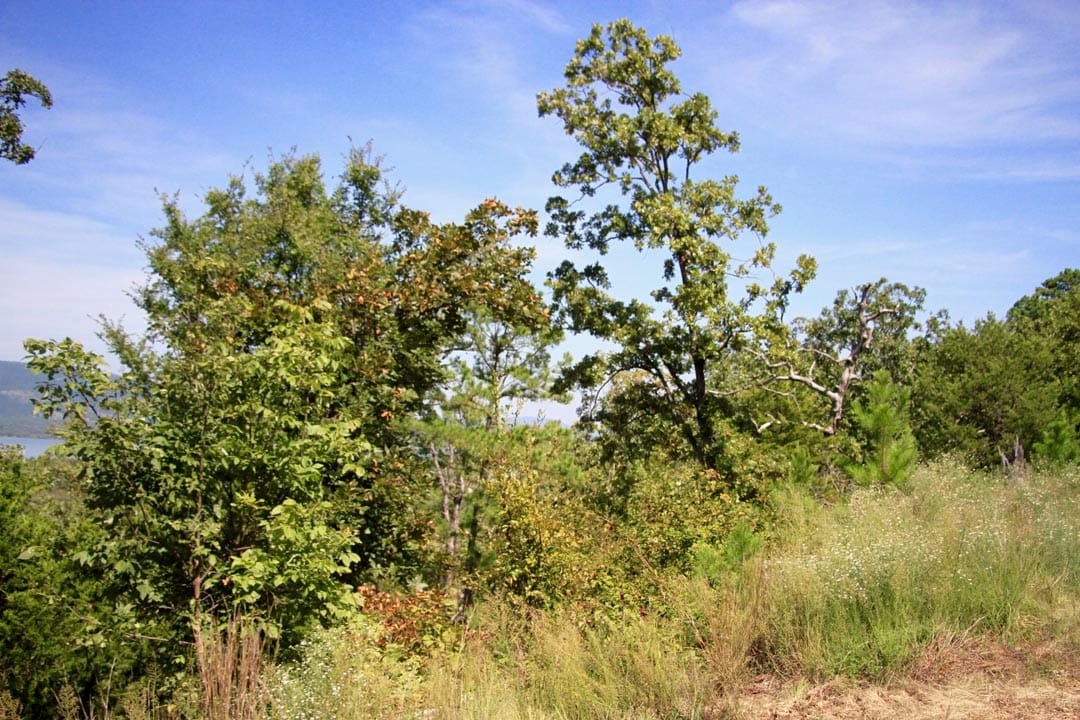 Lakeview Private Reserve Tract 15 photo 14