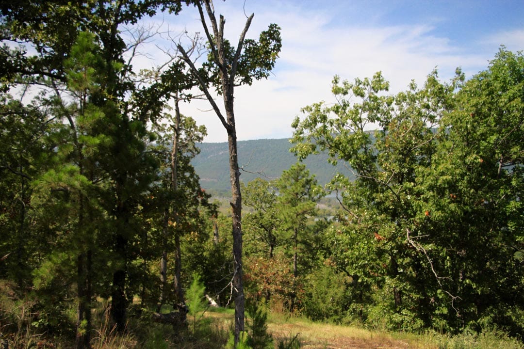 Lakeview Private Reserve Tract 15 photo 15