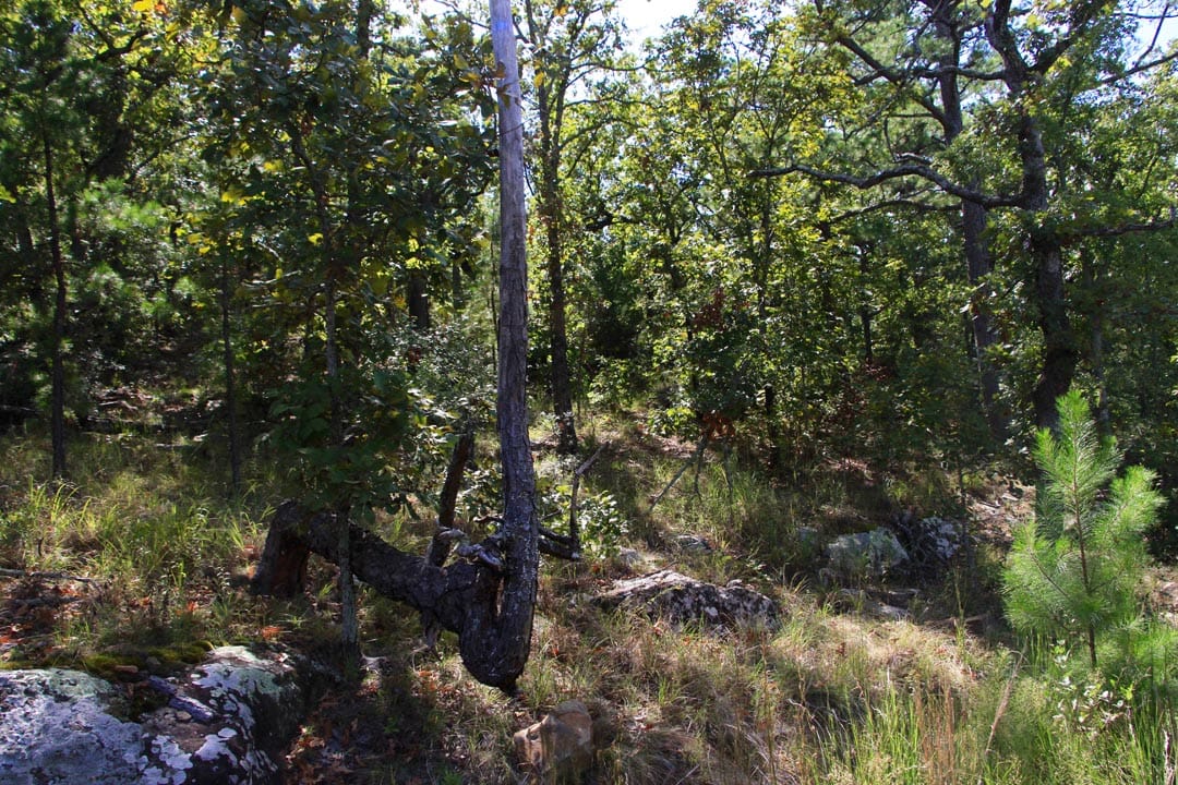 Lakeview Private Reserve Tract 15 photo 17