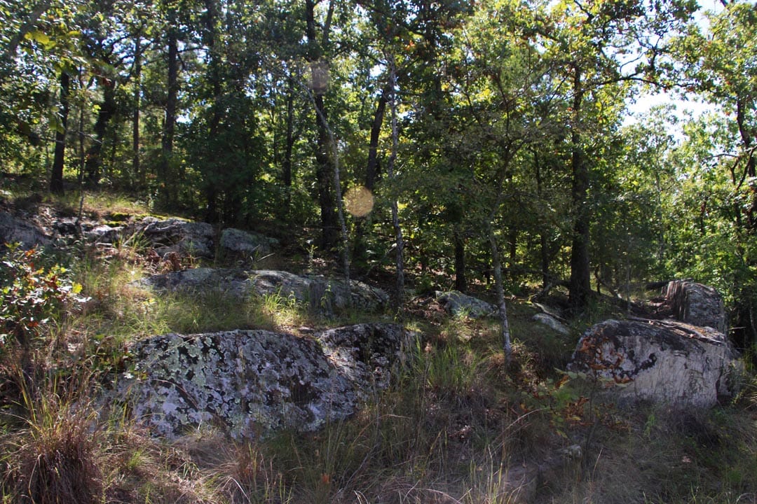 Lakeview Private Reserve Tract 15 photo 18