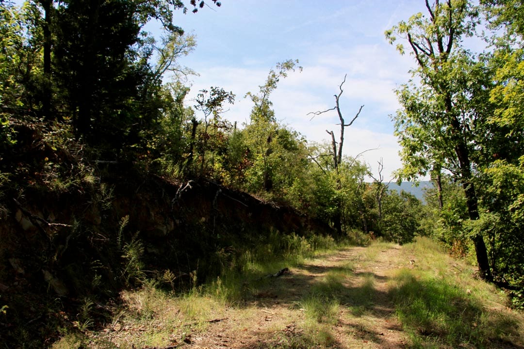 Lakeview Private Reserve Tract 15 photo 21