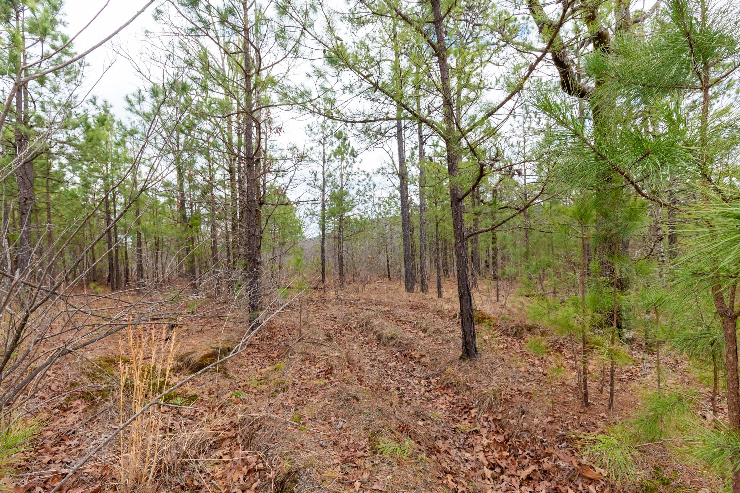 Stone Bridge Phase III Tract 216 photo 5