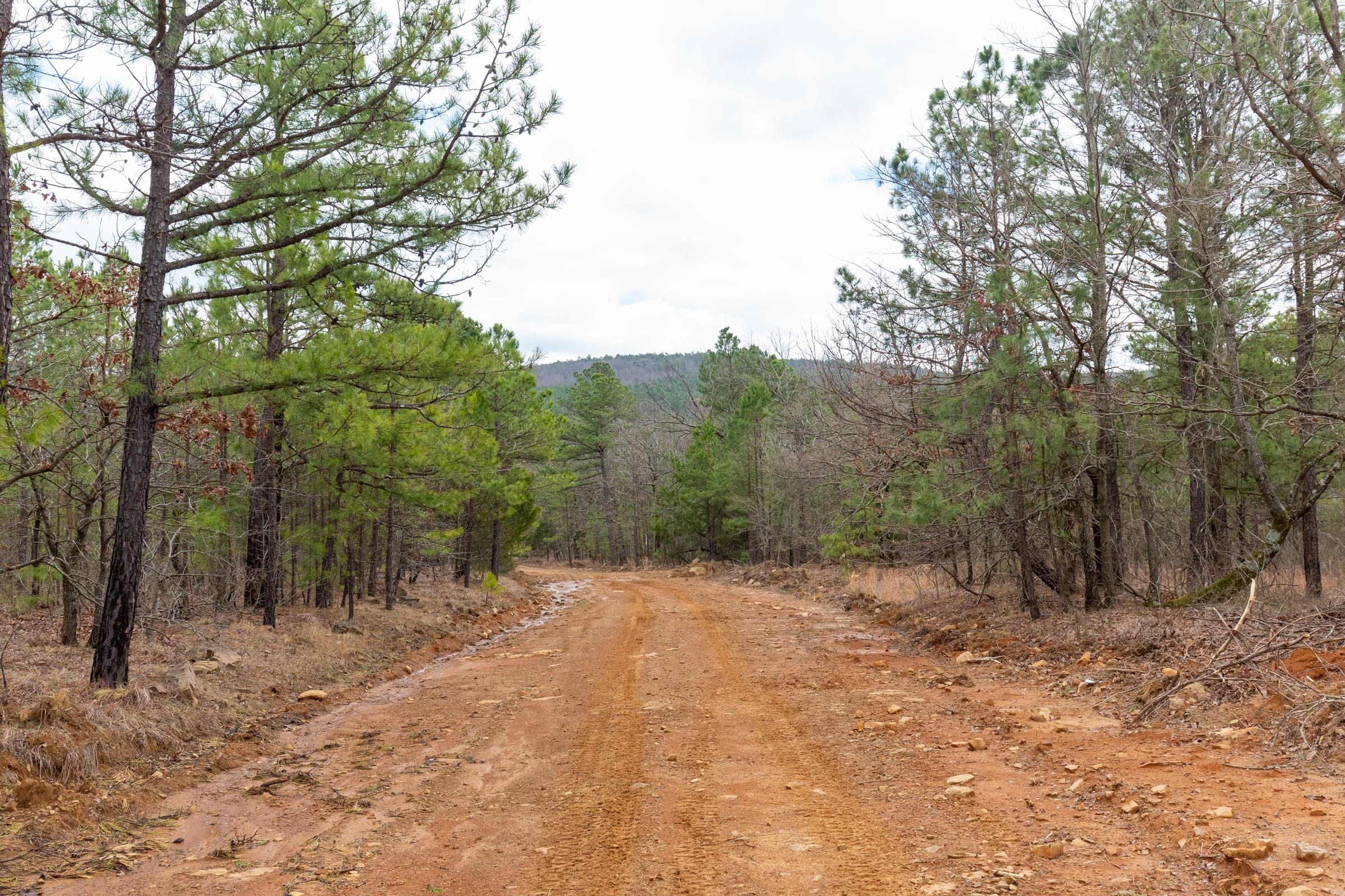 Stone Bridge Phase III Tract 216 photo 1