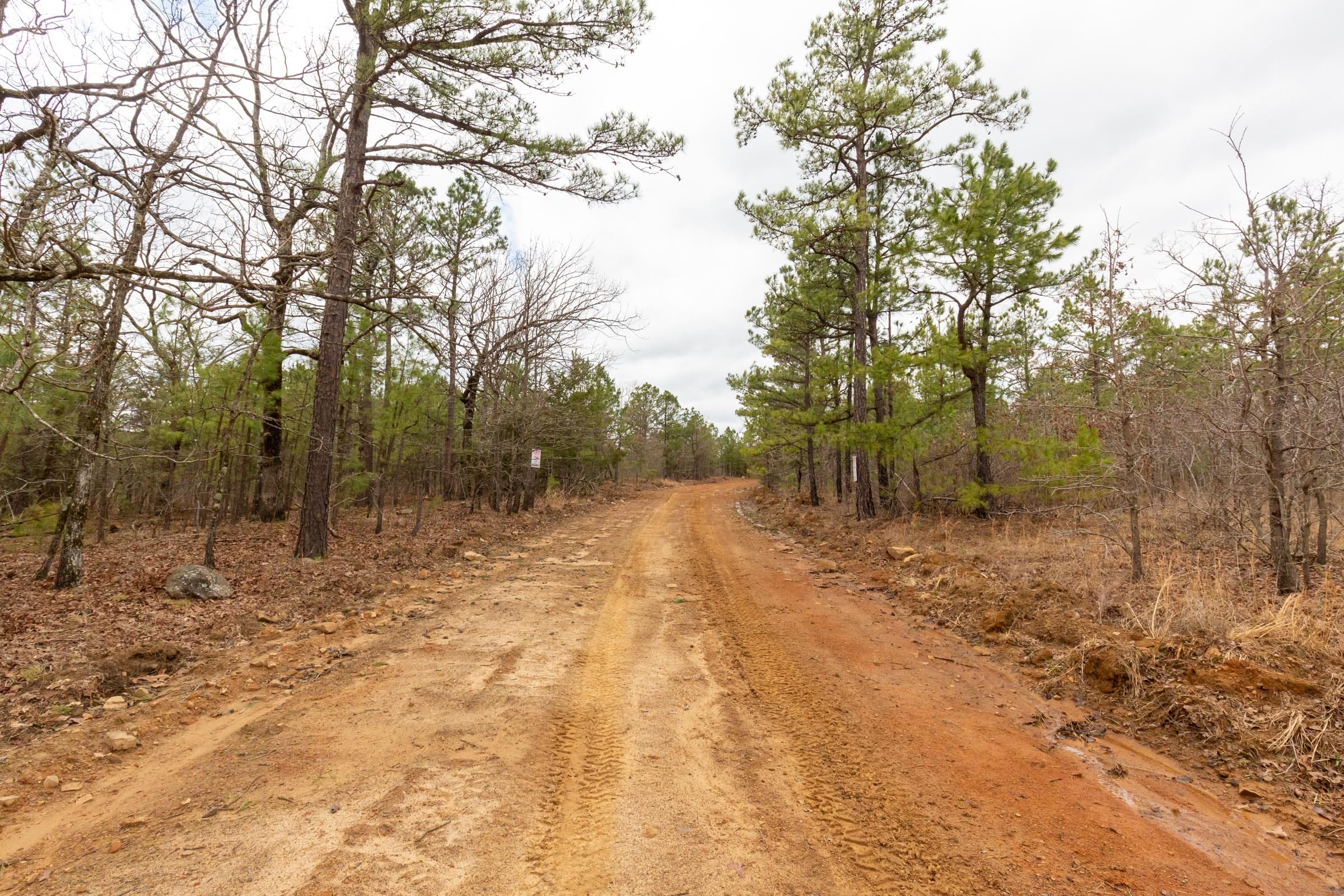 Stone Bridge Phase III Tract 216 photo 8