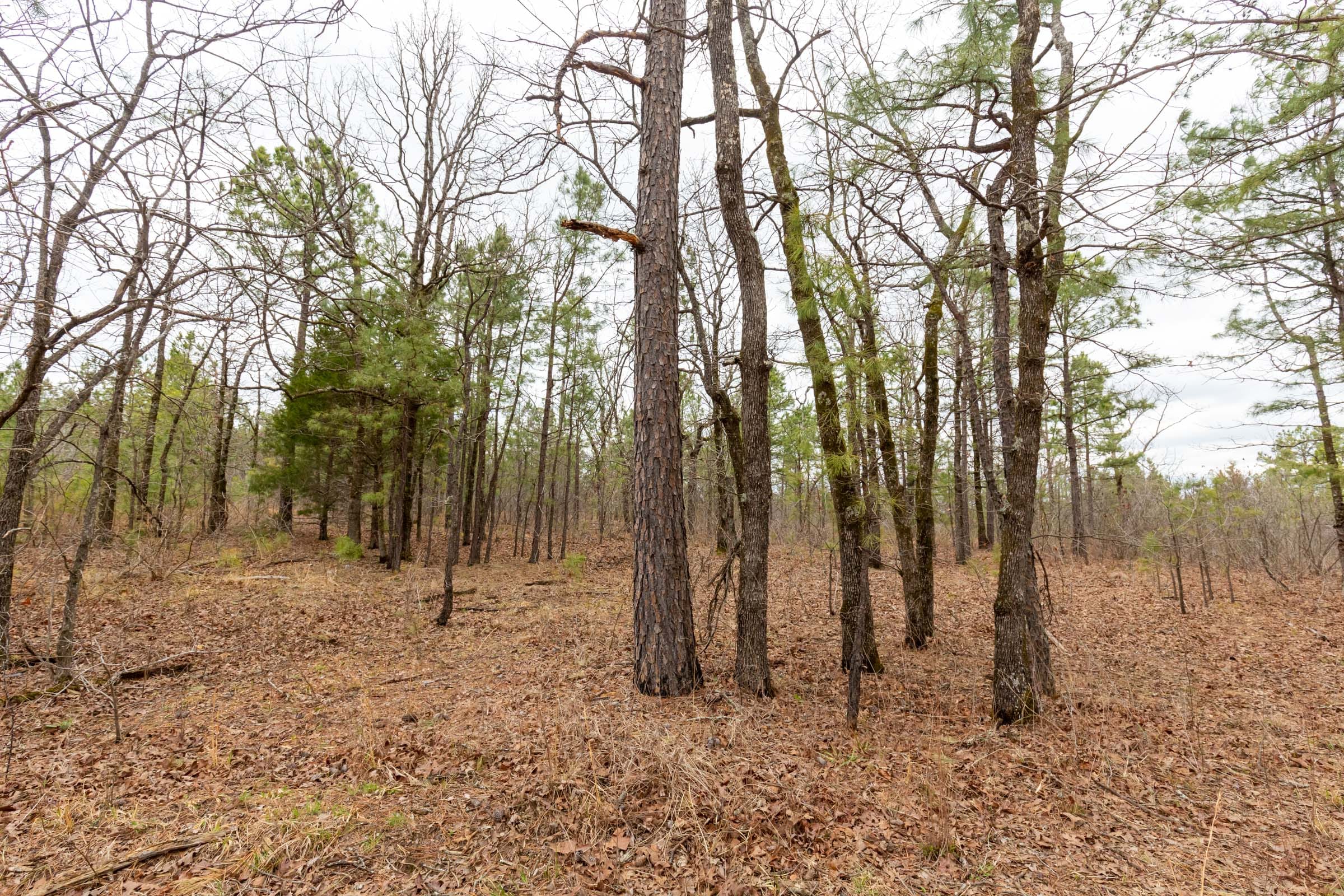 Stone Bridge Phase III Tract 216 photo 11