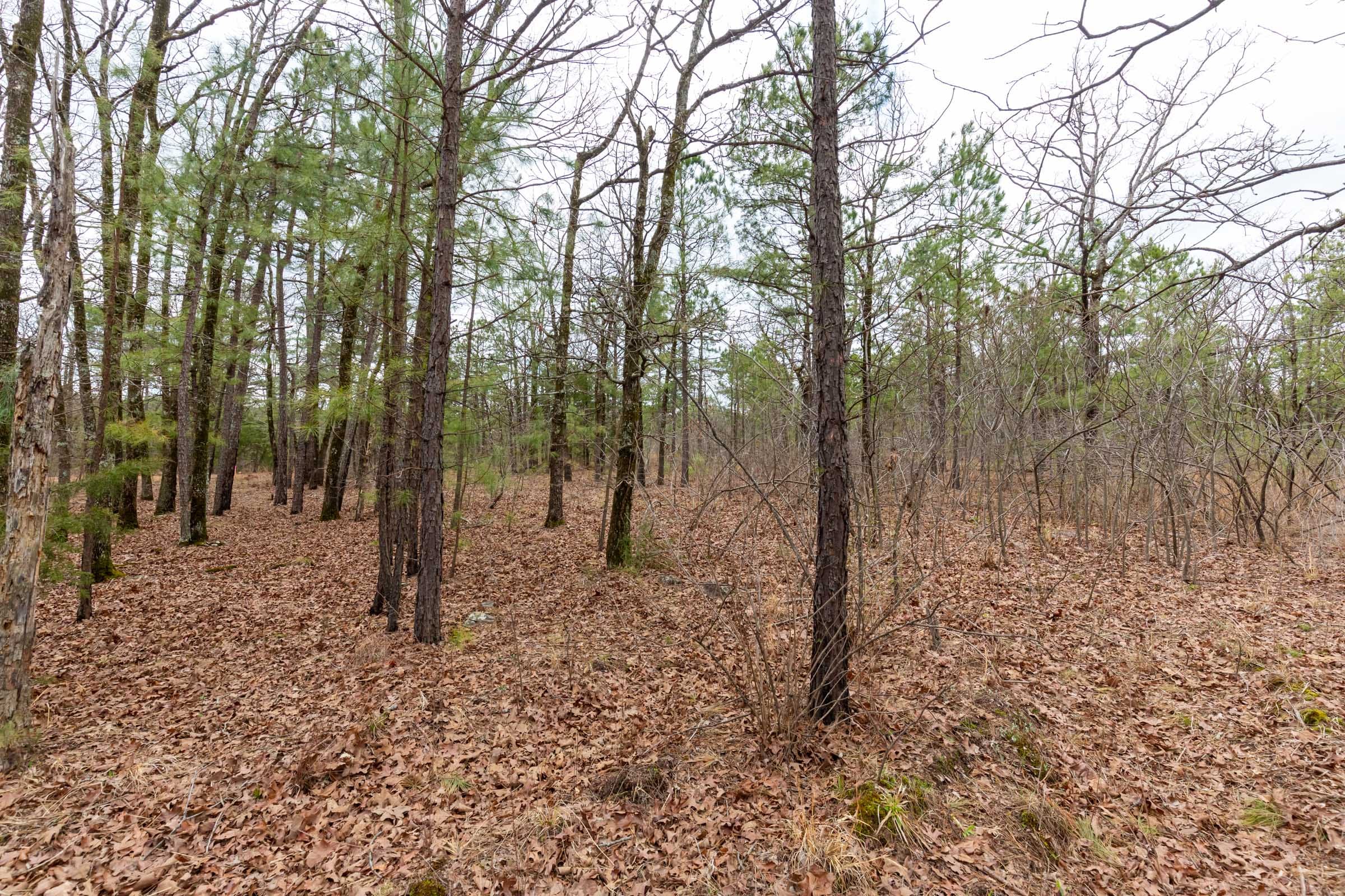 Stone Bridge Phase III Tract 216 photo 13