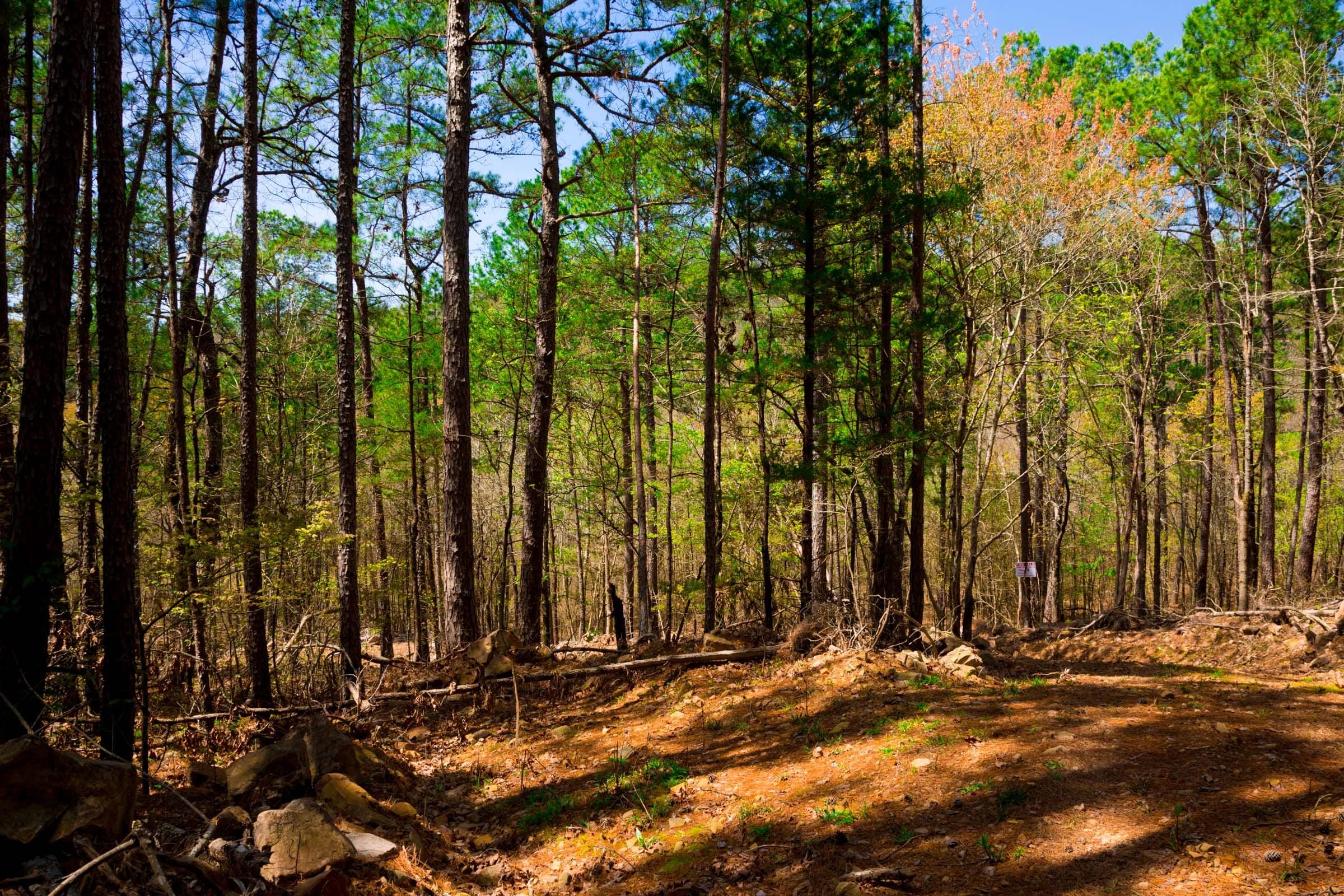 Stone Creek Phase II Tract 215 photo 8