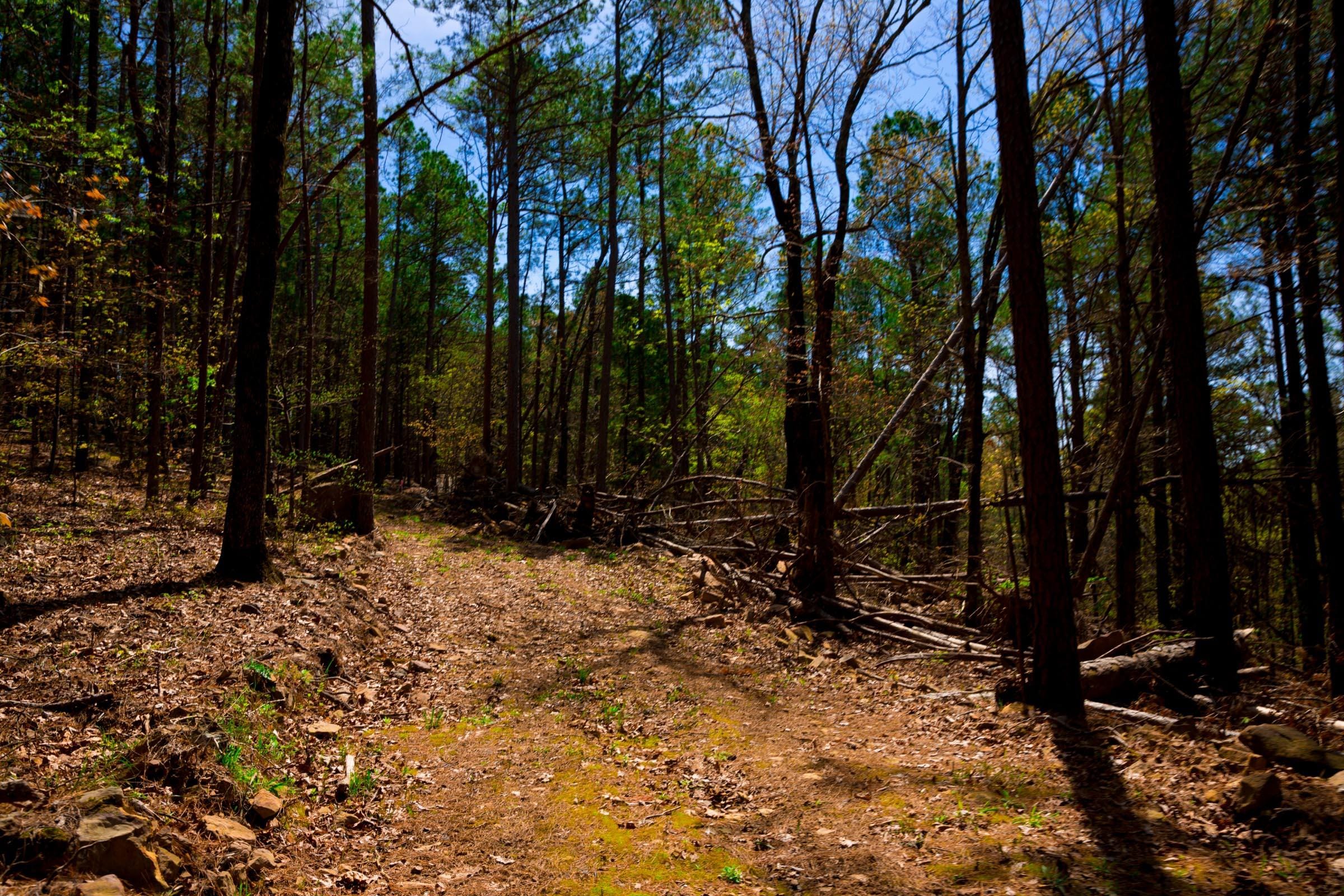 Stone Creek Phase II Tract 215 photo 10