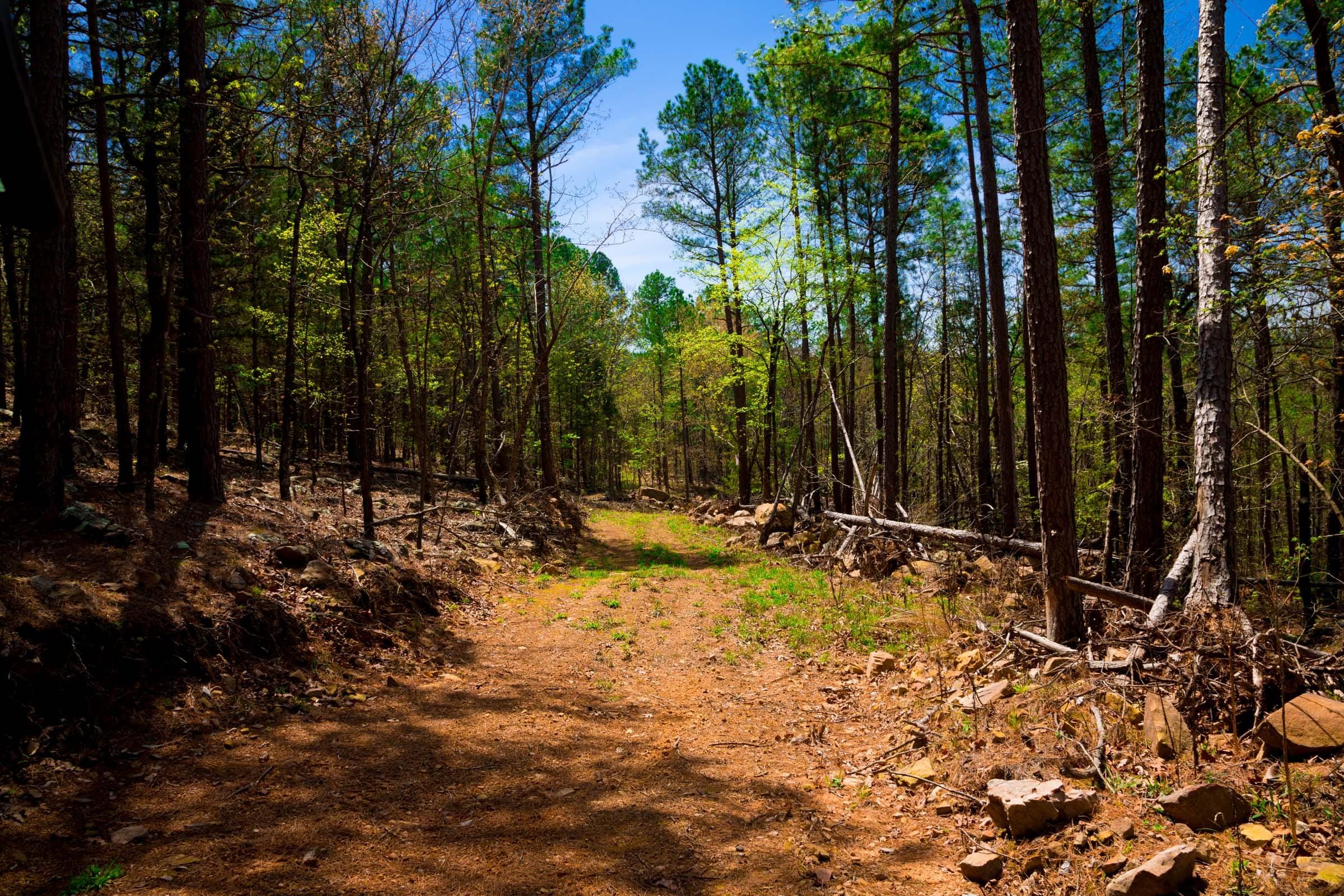 Stone Creek Phase II Tract 215 photo 2