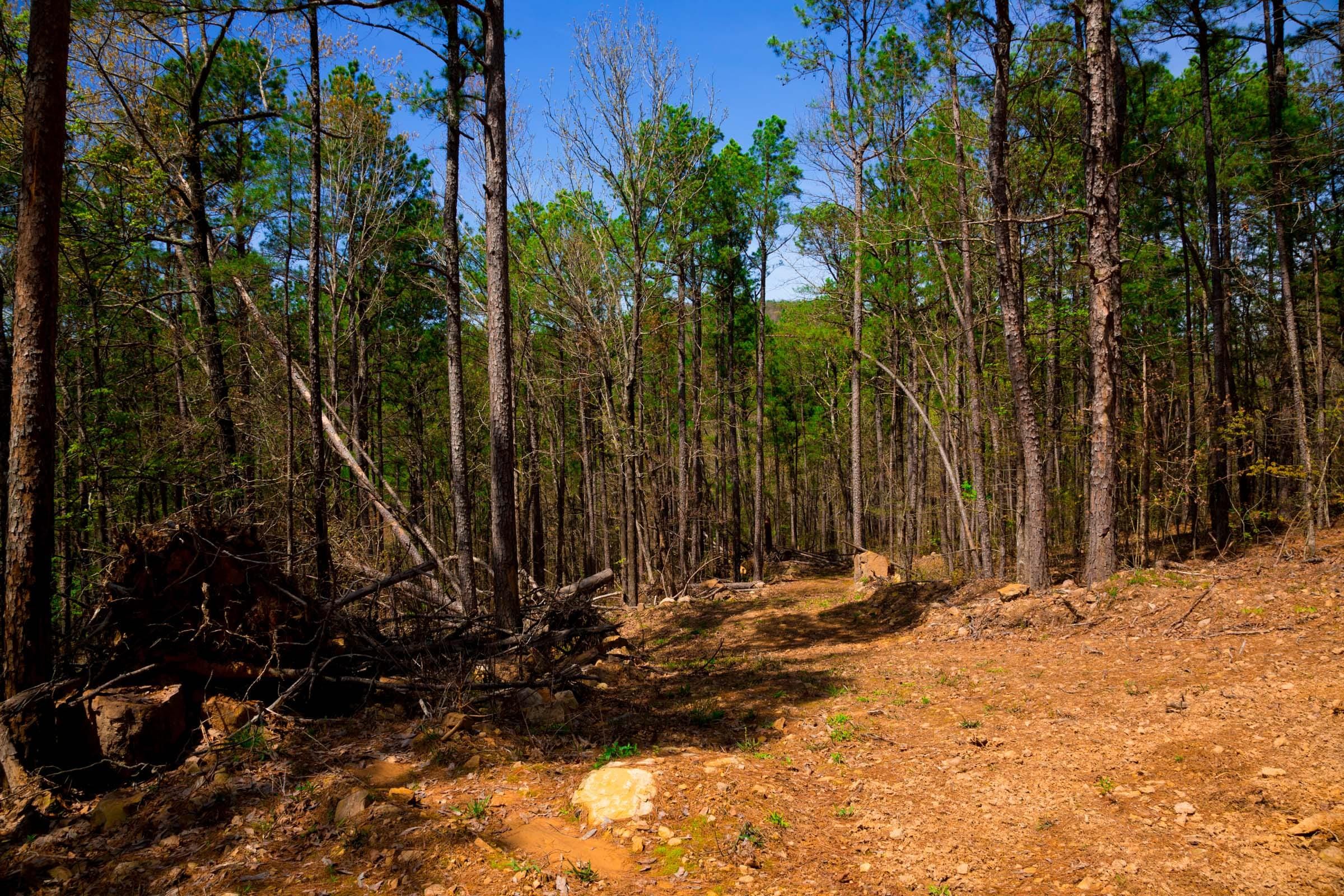 Stone Creek Phase II Tract 215 photo 11
