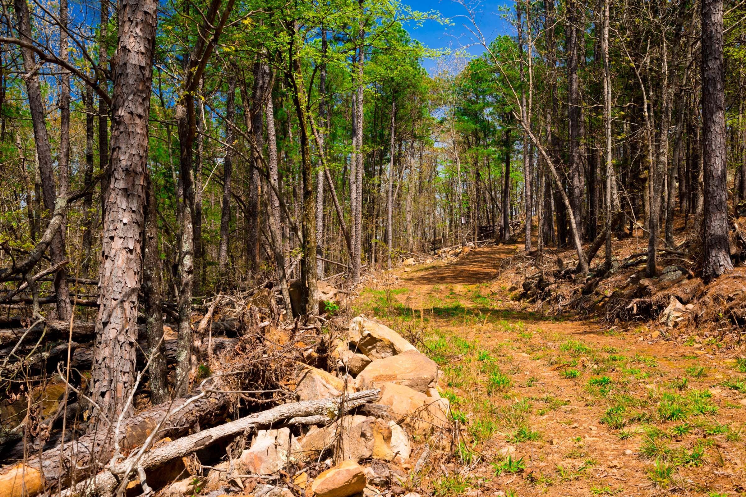 Stone Creek Phase II Tract 215 photo 9