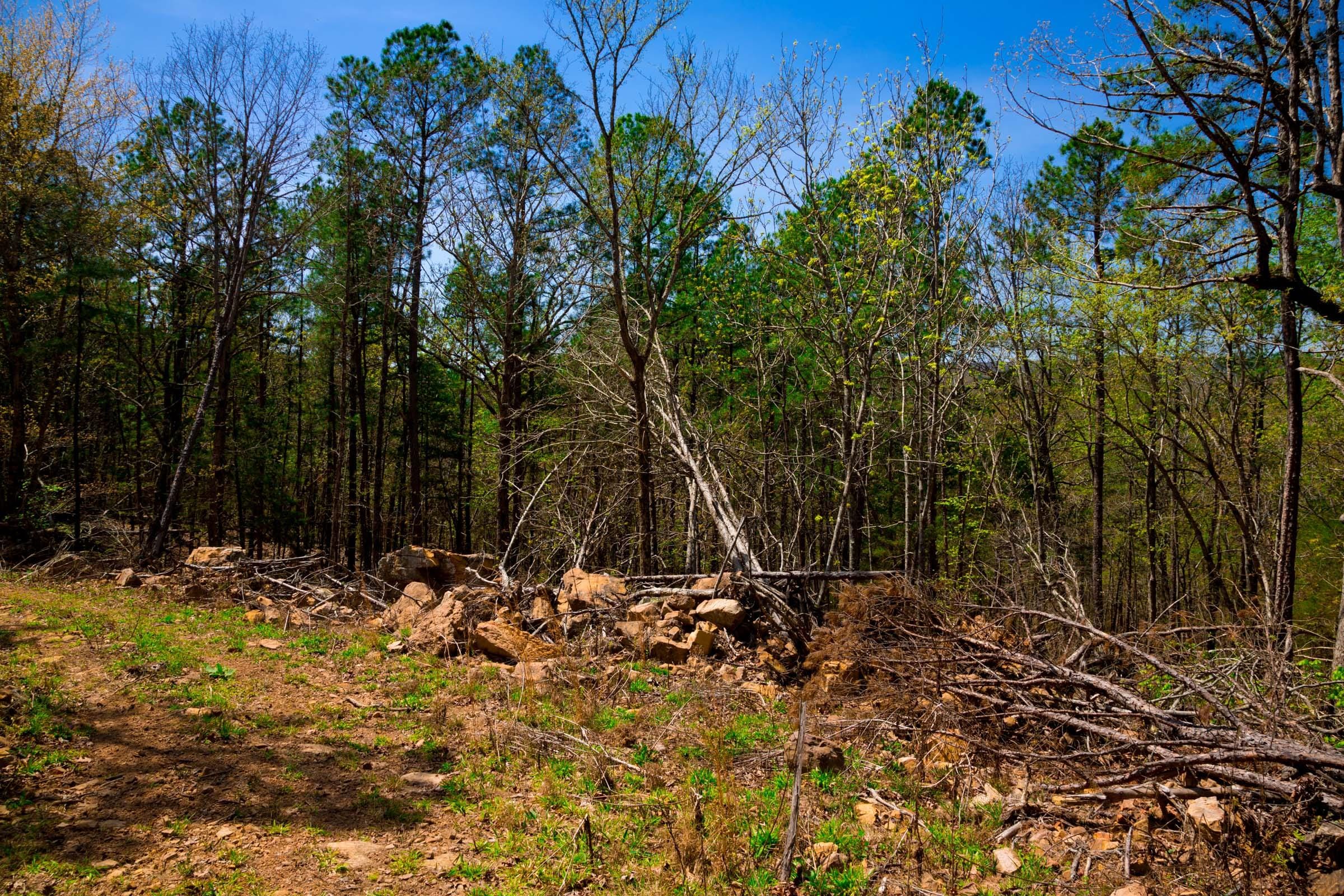 Stone Creek Phase II Tract 215 photo 12
