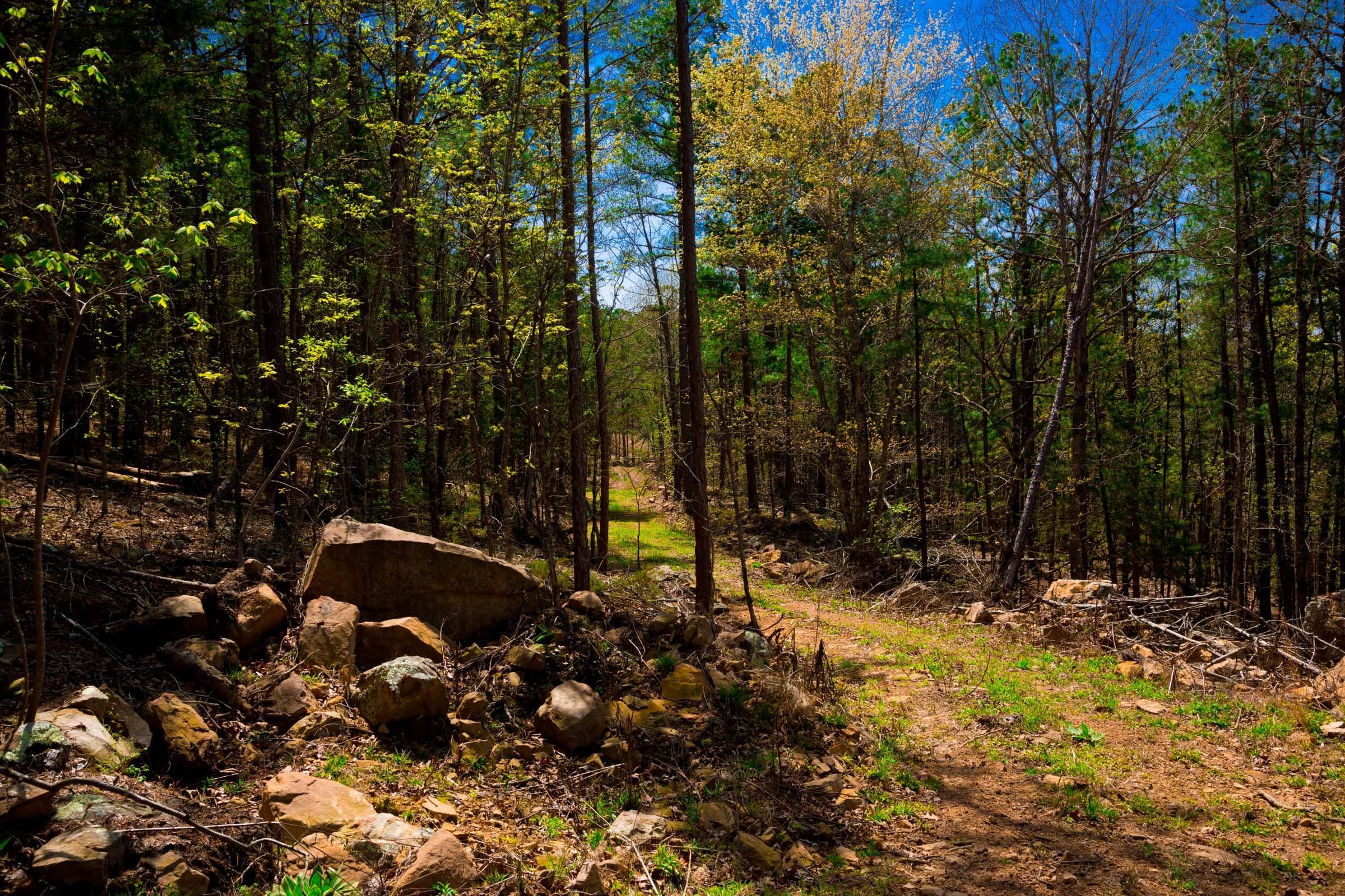 Stone Creek Phase II Tract 215 photo 13