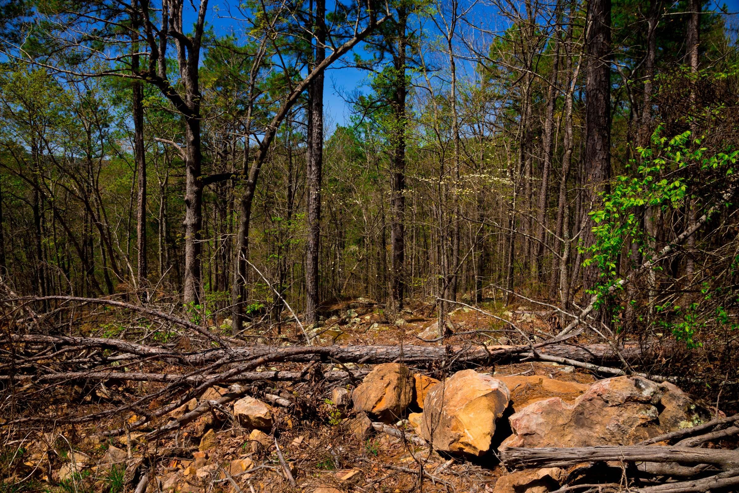 Stone Creek Phase II Tract 215 photo 14