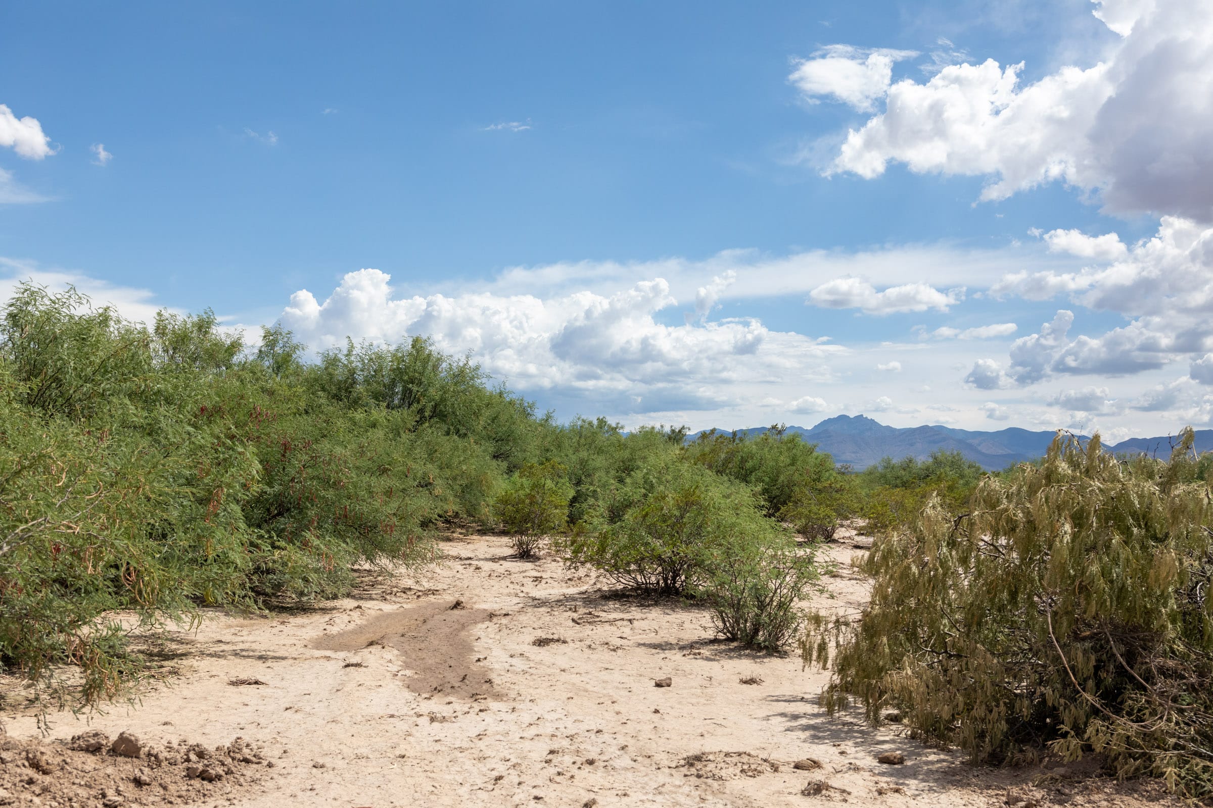 Horizon’s Edge Tract 6 photo 1
