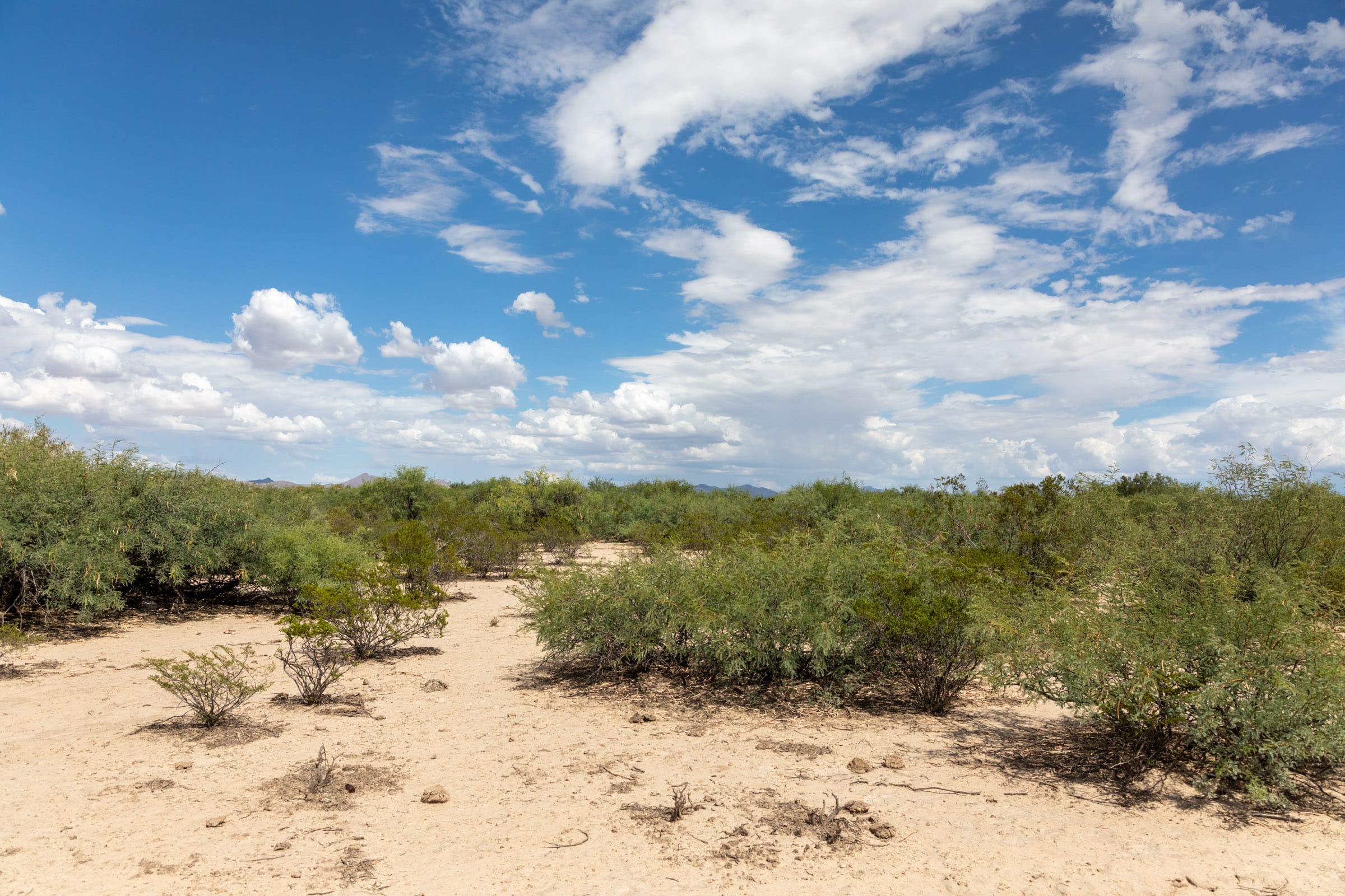 Horizon’s Edge Tract 6 photo 2